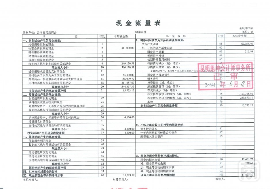 2020年度云南省民族商会审计报告_09.jpg